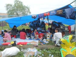 Jokowi ke Mamuju Besok, Tinjau Pengungsian Warga Korban Gempa Jokowi ke Mamuju Besok, Tinjau Pengungsian Warga Korban Gempa