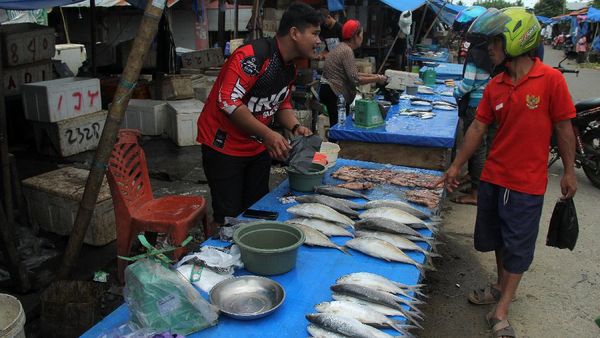 Pasar Tradisional di Mamuju Kembali Bergeliat Pasca Gempa