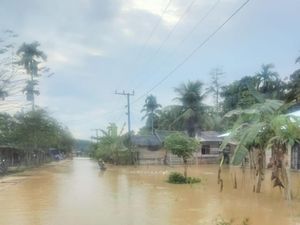 Sungai Meluap, Ratusan Rumah di Aceh Timur Terendam Banjir