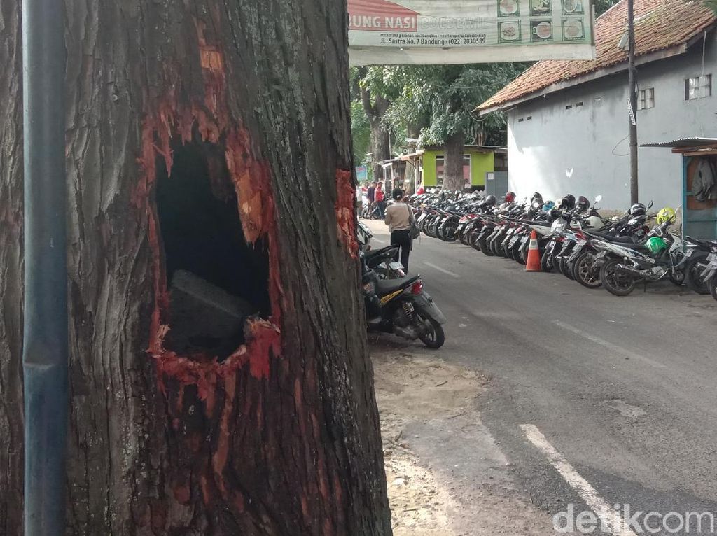 Heboh Batang Pohon Mahoni Tua di Bandung Keluarkan Api dan Asap