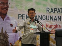 Kementan Siapkan Program Gedor Horti buat Dorong Produksi