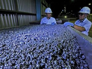 Pemerintah Mau Tingkatkan Nilai Tambah Mineral, Ini Caranya Pemerintah Mau Tingkatkan Nilai Tambah Mineral, Ini Caranya