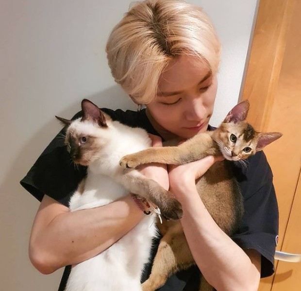 Ten WayV/Foto: instagram.com/tenlee_1001