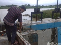 Tragis! 2 Mayat Bayi Terbungkus Kain Nyangkut di Saluran Pompa Semarang