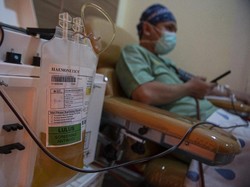 Belum Jadi Terapi Standar COVID-19, Apa Saja Syarat Donor Plasma Konvalesen?