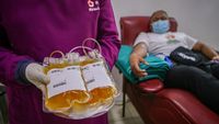 Ini Terapi Plasma Konvalesen yang Bantu Sembuhkan Pasien COVID-19