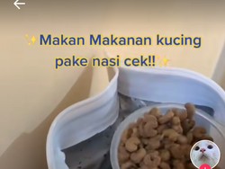 Cicip Makanan Kucing Pakai Nasi, Pria Ini Bilang Rasanya Gurih