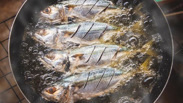 ilustrasi ikan kembung ilustrasi ikan kembung