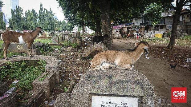 Kuburan China yang tidak terurus di TPU Menteng Pulo, Jakarta Selatan.