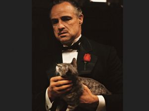 Daftar 25 Film Terbaik Sepanjang Masa Versi Kritikus & Penonton Daftar 25 Film Terbaik Sepanjang Masa Versi Kritikus & Penonton