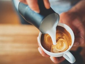 10 Fakta Unik Seputar Kopi yang Mungkin Kamu Belum Tahu