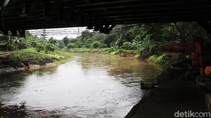 Memasuki Musim Hujan, Debit Air Ciliwung Masih Normal