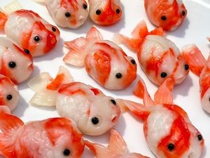 7 Penyebab Ikan Koki Cepat Mati Beserta Cara Memeliharanya dengan Benar