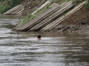 Tiang Pancang Sisa Normalisasi Ciliwung Mangkrak