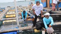 Tinjau Budidaya Lobster dan Perikanan di Bali