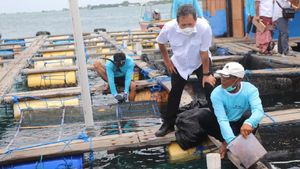Tinjau Budidaya Lobster dan Perikanan di Bali