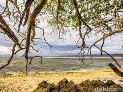 Wisata Mistis Jadi Primadona di Masa Datang?