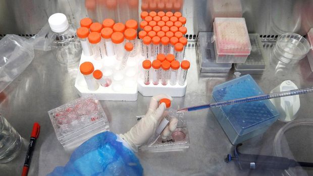China Kembangkan Terapi Gen yang Dapat Menunda Penuaan A researcher cultures mesenchymal progenitor cells in the cell culture room of Aging and Regeneration lab at the Institute for Stem Cell and Regeneration of the Chinese Academy of Sciences (CAS) in Beijing, China, January 12, 2021. Picture taken January 12, 2021. REUTERS/Tingshu Wang