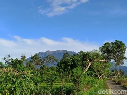 BPBD Banyuwangi Minta Pendaki Gunung Raung Segera Turun