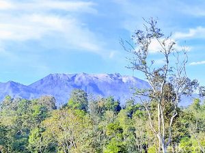 Waspada Energi Tektonisme dan Vulkanisme Gunung Raung dan Merapi