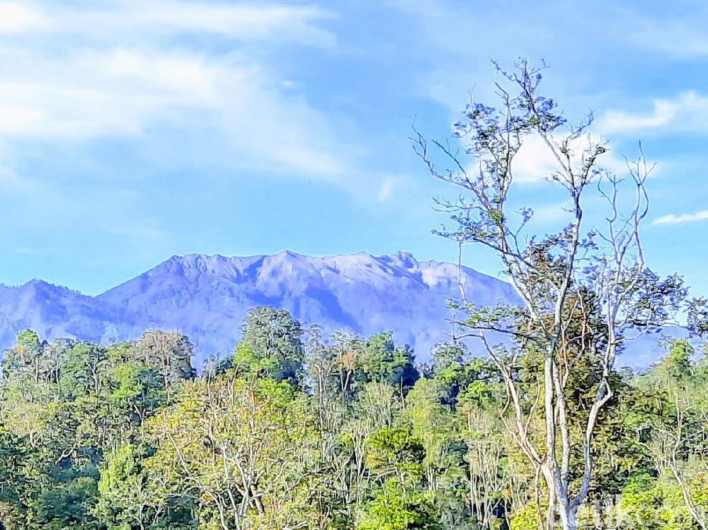 Waspada Energi Tektonisme dan Vulkanisme Gunung Raung dan Merapi Waspada Energi Tektonisme dan Vulkanisme Gunung Raung dan Merapi