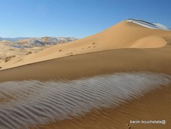 Gurun Sahara Pernah Hijau, Begini Sejarahnya