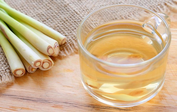 Manfaat Teh Serai untuk Kesehatan, Bisa Bikin Panjang Umur! Manfaat Teh Serai untuk Kesehatan, Bisa Bikin Panjang Umur!