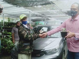Cerita Pedagang Tanaman Hias di Bogor Barter Janda Bolong dengan Mobil Cerita Pedagang Tanaman Hias di Bogor Barter Janda Bolong dengan Mobil