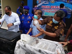 Detik-detik Pengepul Benih Lobster Dibekuk Petugas