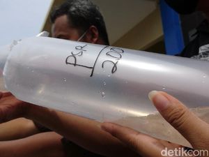 KKP Ungkap Modus Baru Penyeludupan Benur di Parung Panjang