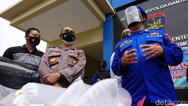Polisi Amankan 2 Pengedar Benur Ilegal Senilai Rp 6 Miliar