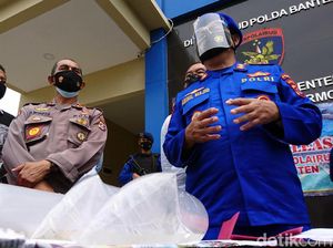 Polisi Amankan 2 Pengedar Benur Ilegal Senilai Rp 6 Miliar