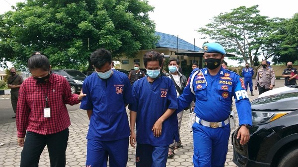 Polisi tangkap pengedar benur ilegal di Lebak, Banten Polisi tangkap pengedar benur ilegal di Lebak, Banten