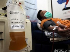 Donor Plasma Konvalesen Beri Asa Akhiri Pandemi Corona