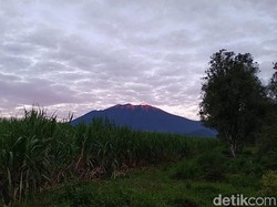 Gunung Raung Erupsi, Ada Pendaki yang Belum Turun?