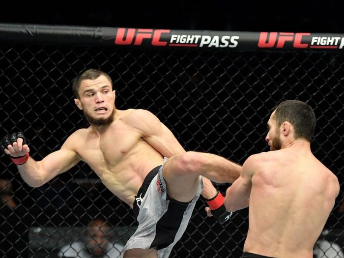 Umar Nurmagomedov