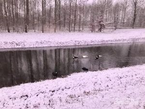 Utrecht Kala Turun Salju di Sore Hari