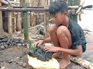 Heboh Batu Bara Berhamburan di Pantai Sekembu Jepara