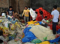 Tantangan Tersulit BNPB Tangani Gempa Mamuju Sulbar