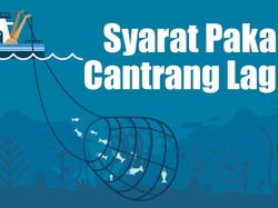 Syarat Pakai Cantrang Lagi