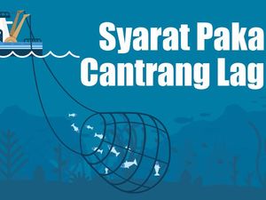 Syarat Pakai Cantrang Lagi Syarat Pakai Cantrang Lagi