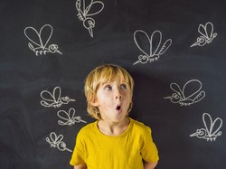 Mengapa Nyamuk Suka Berdengung di Telinga? Ini Alasannya