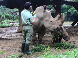 Lembaga Konservasi Jadi Benteng Terakhir Perlindungan Satwa