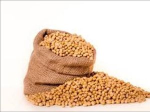 Sampai Kapan RI Mau Impor Kedelai? Sampai Kapan RI Mau Impor Kedelai?