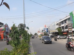 Ada Perdamaian, Penahanan Pengusaha Tebang 83 Pohon di Pekanbaru Ditangguhkan