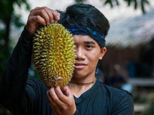Video: Beda Durian Khas Baduy dengan Durian Lainnya