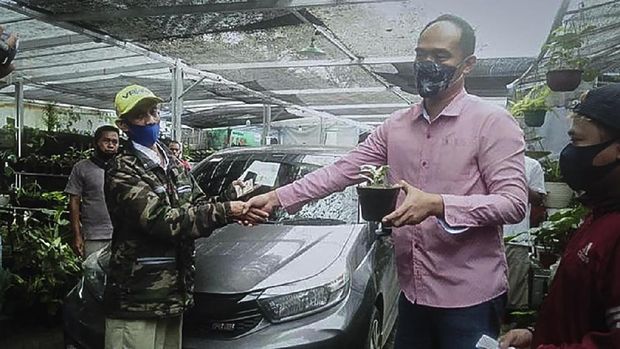 Pedagang tanaman hias di Bogor tukar janda bolong dengan mobil.