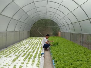 Kisah Petani Muda dari Lereng Gunung Muria