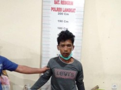Wanita di Sumut Tewas-Pisau Tertancap di Perut, Pelaku Penusukan Ditangkap