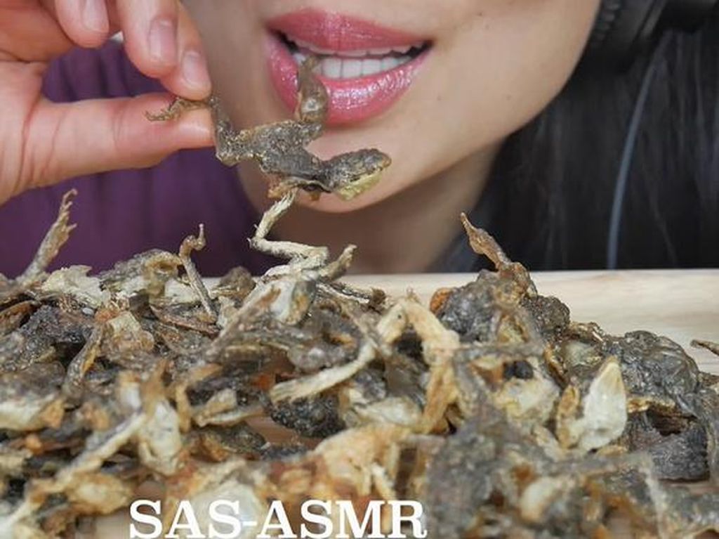 Bikin Ngeri! 5 YouTuber Ini Mukbang Kodok dengan Lahap Bikin Ngeri! 5 YouTuber Ini Mukbang Kodok dengan Lahap